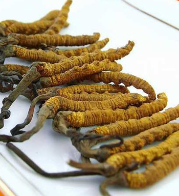 腎虛的癥狀有哪些 10種男人容易患上腎虛