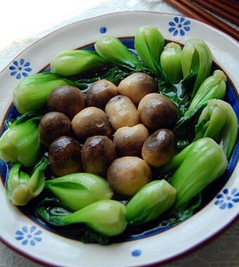 關愛老人 增加老人食欲的妙招