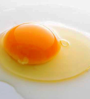 吃蛋黃好還是蛋清好 蛋清和蛋黃哪個(gè)更有營養(yǎng)