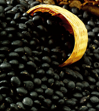 男人如何保養(yǎng)腎 男人養(yǎng)腎5大關(guān)鍵