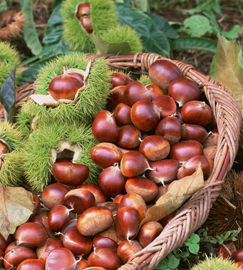 去皺紋最好的方法 9方法幫你輕松應對