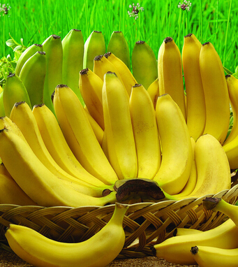 香蕉的功效與作用  智慧之果 不可小覷