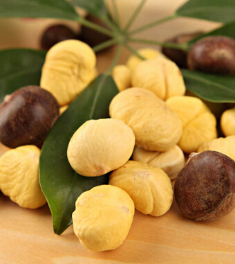 健康飲食小知識 10大堅果食用禁忌