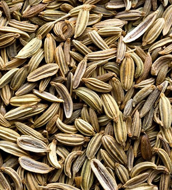 胃脹氣的飲食禁忌 胃脹氣吃什么緩解癥狀