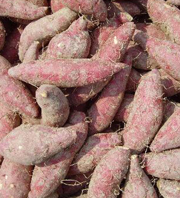 女人養(yǎng)顏排毒吃什么好 吃這些養(yǎng)顏排毒不用愁