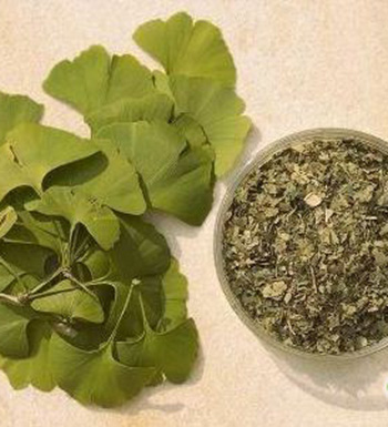 銀杏葉的功效與作用 銀杏葉泡水喝有哪些禁忌