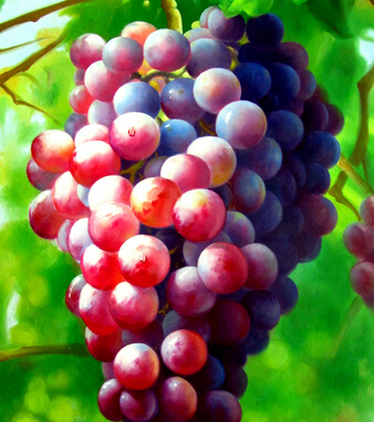 吃什么抗衰老 能夠隱藏歲月痕跡的水果