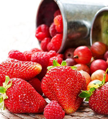 如何有效排毒 身體排毒的10妙方