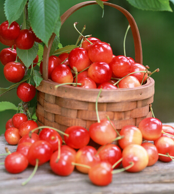 吃什么排毒 七種水果幫助女人掃除毒素