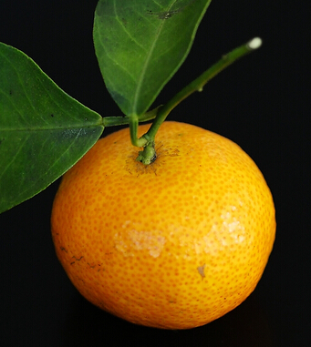 補(bǔ)血吃什么好 4大水果補(bǔ)血養(yǎng)顏遠(yuǎn)離疾病