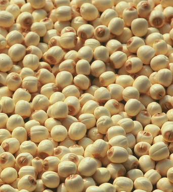 上火吃什么好  上火 的對癥食療法