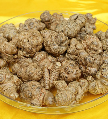 中藥常識 三七保健養(yǎng)生的適用人群