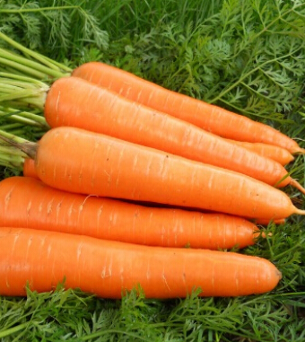 吃什么抗衰老 能夠隱藏歲月痕跡的水果