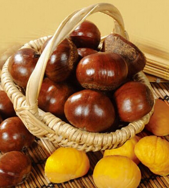 腎虛怎么辦 男人腎虛到底該怎么補