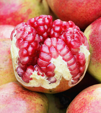 補(bǔ)血吃什么好 4大水果補(bǔ)血養(yǎng)顏遠(yuǎn)離疾病