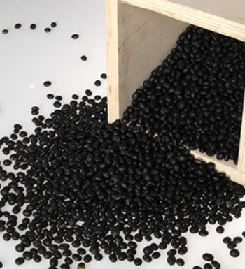 夏季養(yǎng)生小常識 夏季掉發(fā)嚴重怎么辦