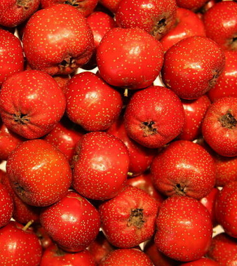 空腹不能吃的水果 9種水果不可空腹吃