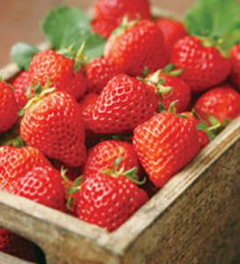 夏天吃什么水果防曬 夏季防曬吃什么好