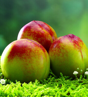 水果的營養(yǎng)價(jià)值 解密14種水果的秘密功效