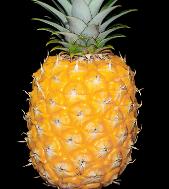 吃什么可以美白 天然美白嫩膚水果