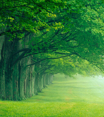 排毒養(yǎng)顏 10招心靈排毒讓你擺脫焦慮癥