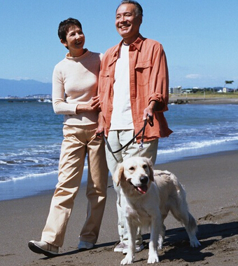 性生活的好處 老年人保持性生活能預防疾病