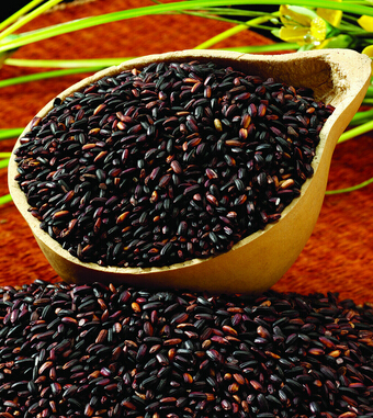 腎虛吃什么好 超級養(yǎng)腎的 黑五類