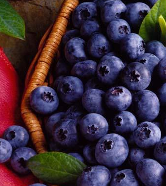 男性健康小常識(shí) 讓男人長(zhǎng)壽的秘方