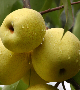 月經(jīng)期 女性需要關(guān)注的4大禁忌