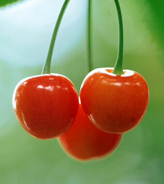 秋天吃什么水果好 秋天不可錯(cuò)過的10水果