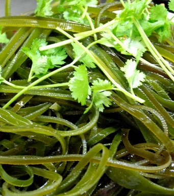 健康飲食 女人吃什么讓你不變老