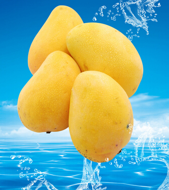 芒果吃多了會怎么樣 芒果的功效與作用