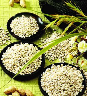 薏米的作用與功效及食用方法 薏米的營養(yǎng)價值