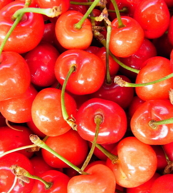 吃櫻桃有什么好處 櫻桃可治婦科疾病