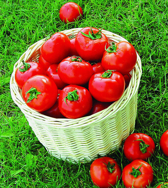 吃西紅柿的好處 西紅柿治病的十大功效