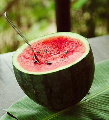 夏季溫?zé)崛绾勿B(yǎng)生 推薦10款食物清熱潤(rùn)肺