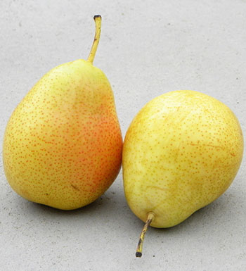 夏季溫?zé)崛绾勿B(yǎng)生 推薦10款食物清熱潤(rùn)肺