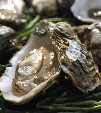 健康飲食 男人要滋補(bǔ)多吃牡蠣餐