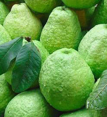 世界最臭的美食有哪幾種 那些越臭越好吃的美食