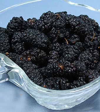 桑葚的功效與作用 桑葚保健抗老安眠防脫發(fā)