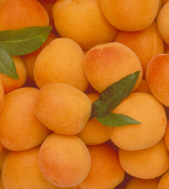 水果的營(yíng)養(yǎng)價(jià)值 抗病力一流的營(yíng)養(yǎng)水果