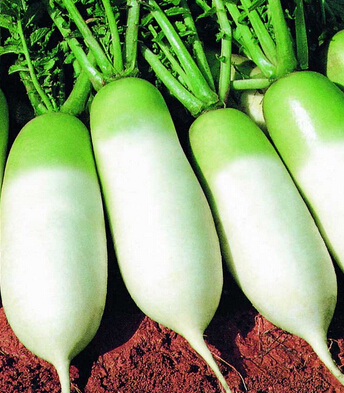 咳嗽吃什么好的快 用蜂蜜治療的21種方法