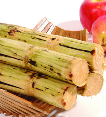 感冒吃什么好 感冒怎么辦 吃什么對(duì)感冒有好處