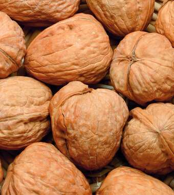 咳嗽吃什么好的快 用蜂蜜治療的21種方法