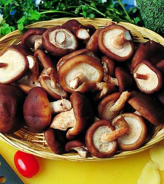 腎虛怎么辦 14種食物幫你找回自信