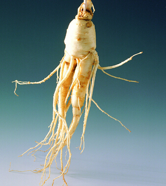 腎虛怎么辦 14種食物幫你找回自信