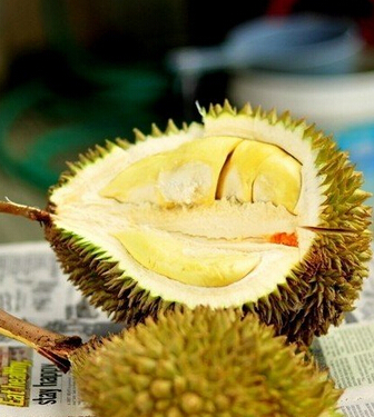 榴蓮的功效與作用 榴蓮的9大養(yǎng)生功效