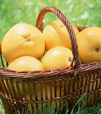 清腸排毒方法 養(yǎng)顏排毒又瘦身的7大清腸水果