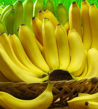 吃香蕉的好處 老人食用香蕉有效預防疾病