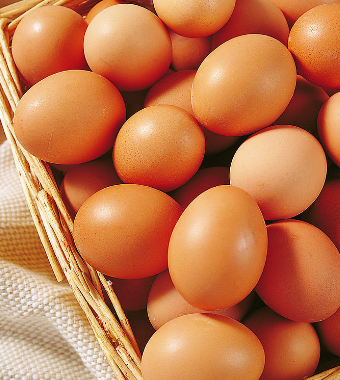 如何提高精子質量 男人的養(yǎng)精食物